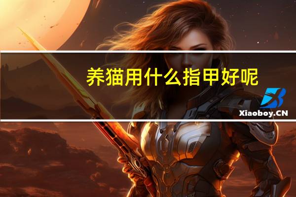 养猫用什么指甲好呢