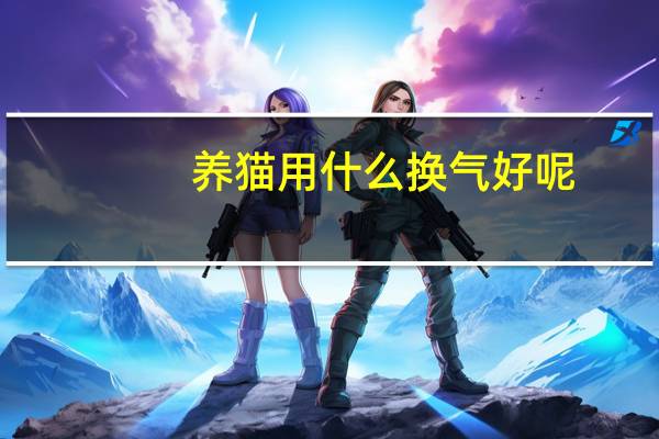 养猫用什么换气好呢