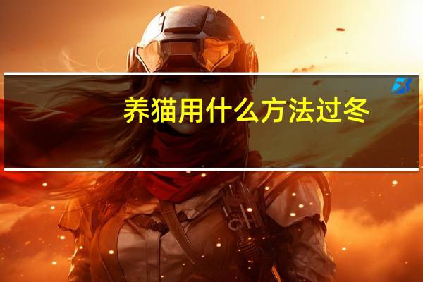 养猫用什么方法过冬