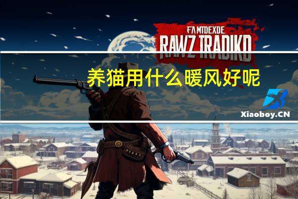 养猫用什么暖风好呢