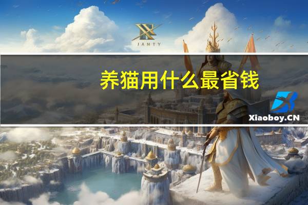 养猫用什么最省钱