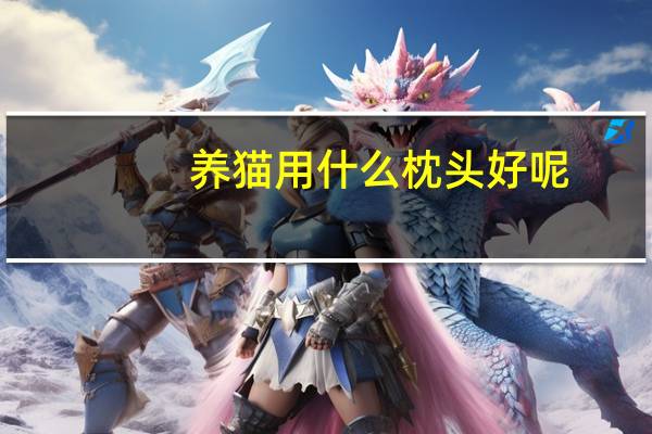 养猫用什么枕头好呢