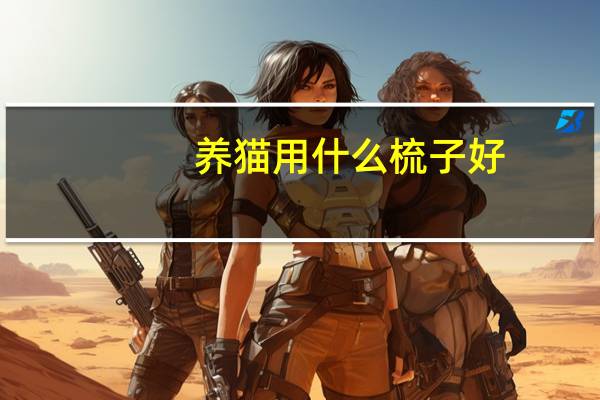 养猫用什么梳子好
