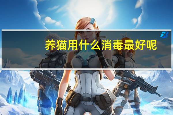 养猫用什么消毒最好呢