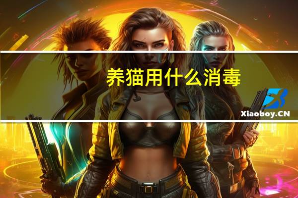 养猫用什么消毒
