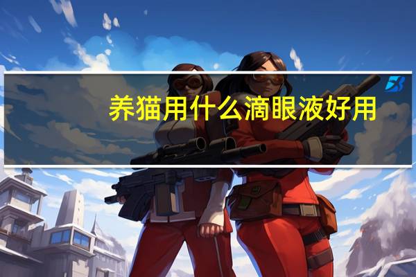 养猫用什么滴眼液好用