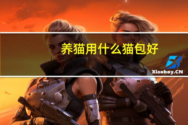 养猫用什么猫包好