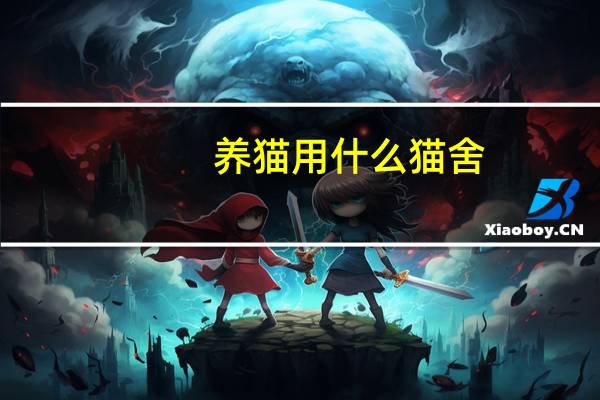 养猫用什么猫舍