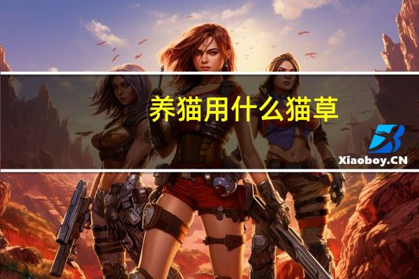 养猫用什么猫草