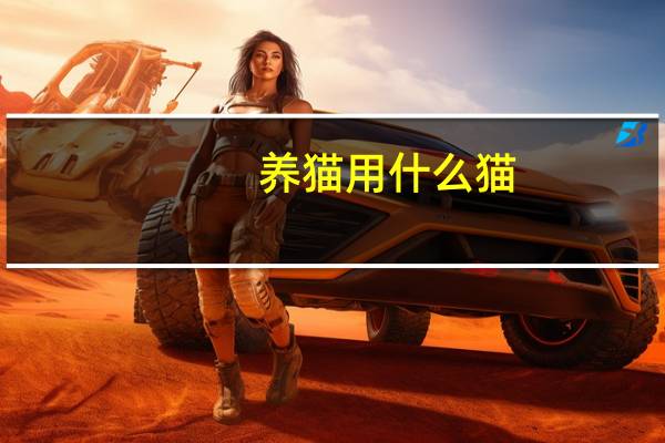 养猫用什么猫