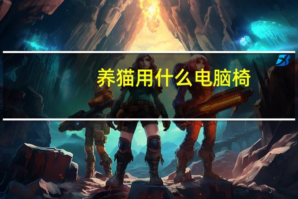 养猫用什么电脑椅