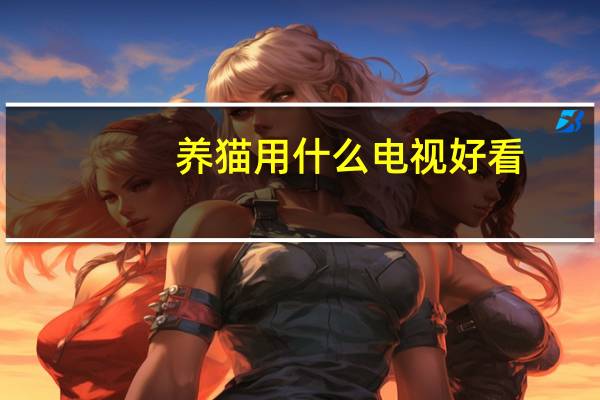 养猫用什么电视好看