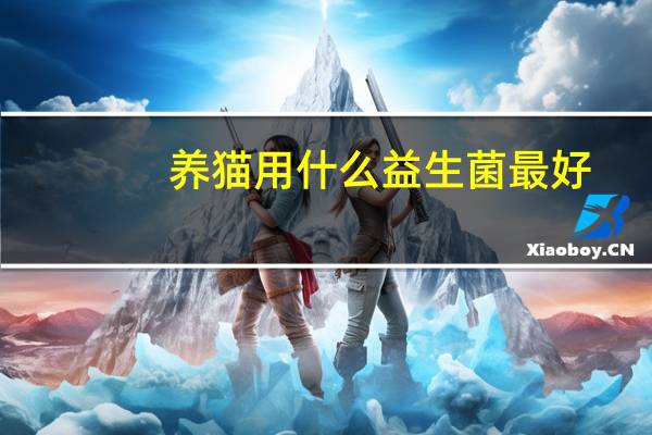养猫用什么益生菌最好