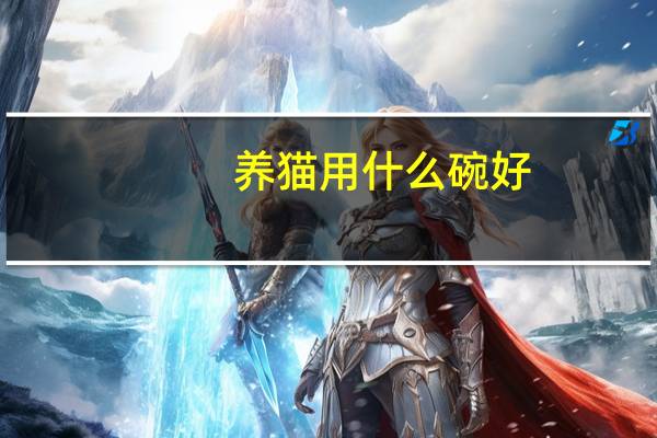 养猫用什么碗好