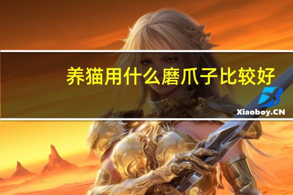 养猫用什么磨爪子比较好