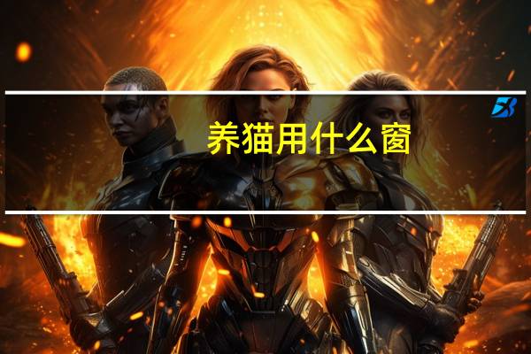养猫用什么窗