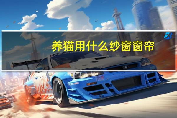 养猫用什么纱窗窗帘