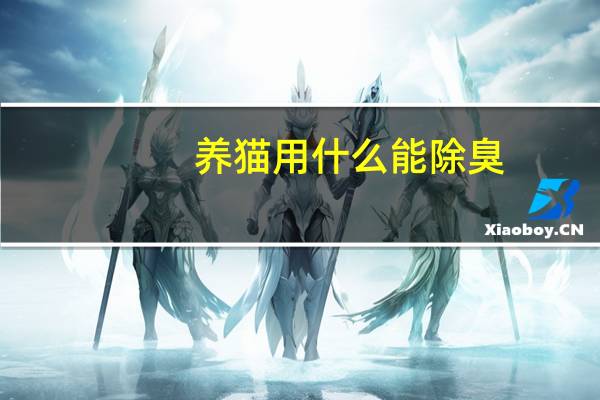 养猫用什么能除臭