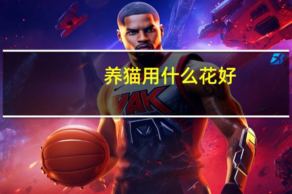 养猫用什么花好
