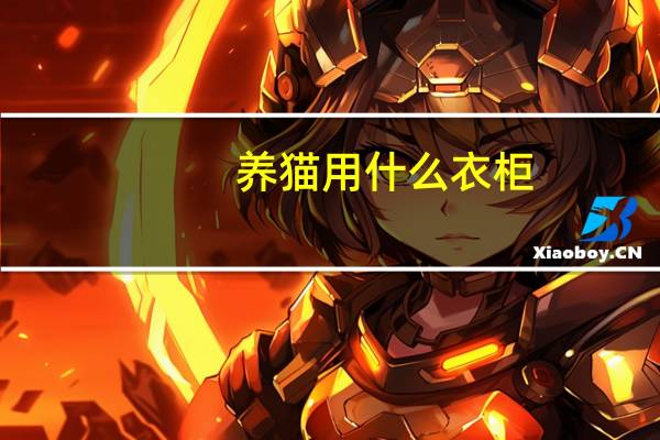 养猫用什么衣柜