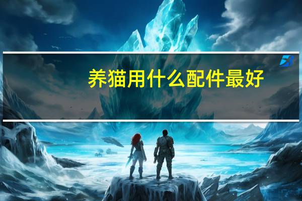 养猫用什么配件最好