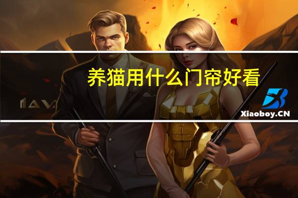 养猫用什么门帘好看