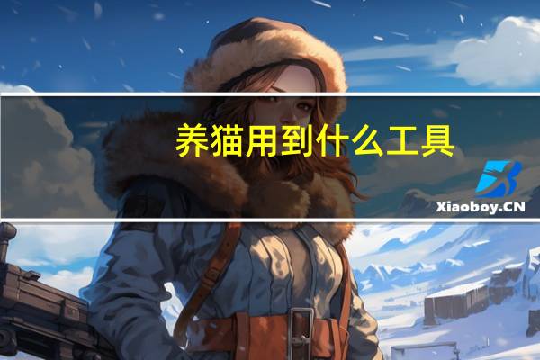 养猫用到什么工具