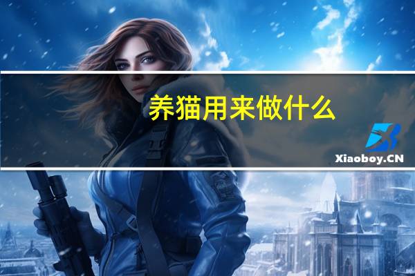 养猫用来做什么