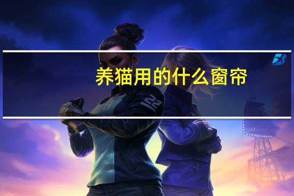 养猫用的什么窗帘