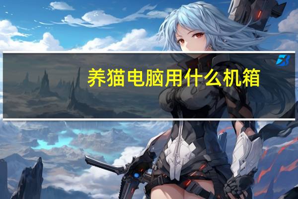 养猫电脑用什么机箱