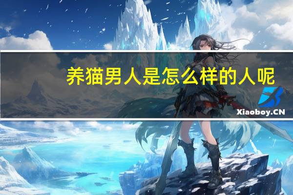 养猫男人是怎么样的人呢