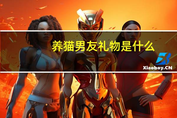 养猫男友礼物是什么