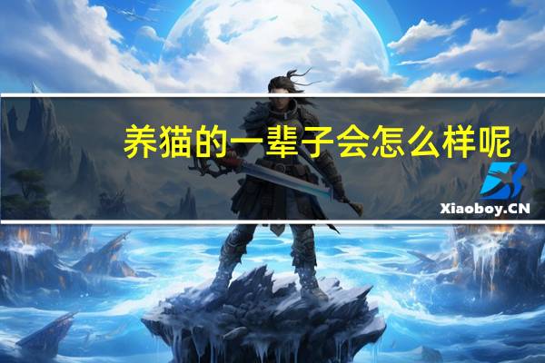 养猫的一辈子会怎么样呢