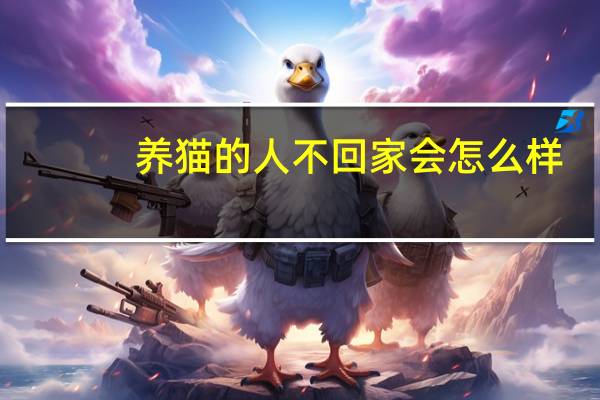养猫的人不回家会怎么样