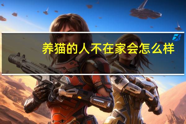 养猫的人不在家会怎么样