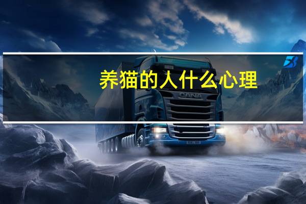 养猫的人什么心理