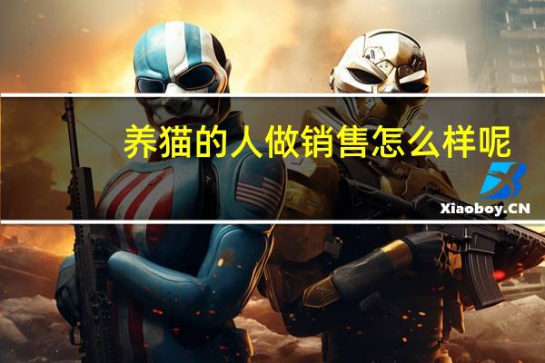 养猫的人做销售怎么样呢