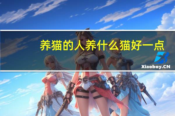 养猫的人养什么猫好一点