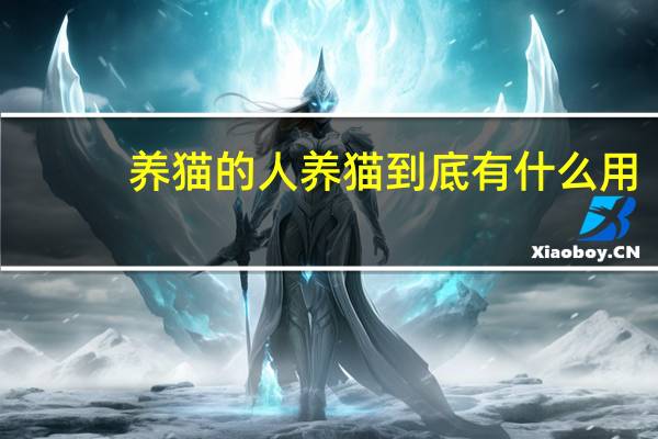 养猫的人养猫到底有什么用