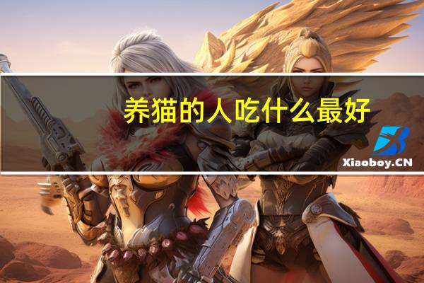 养猫的人吃什么最好