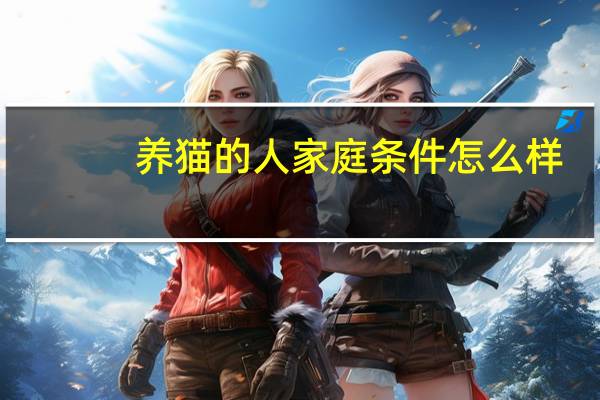 养猫的人家庭条件怎么样