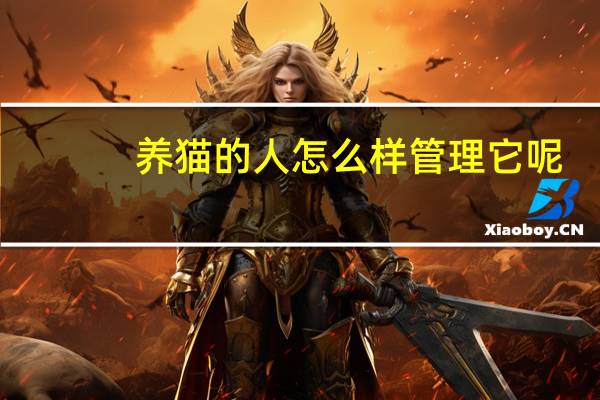 养猫的人怎么样管理它呢