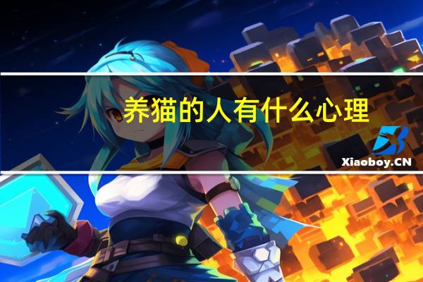 养猫的人有什么心理