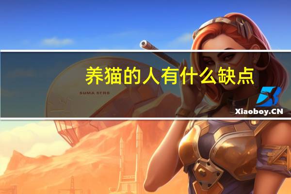 养猫的人有什么缺点