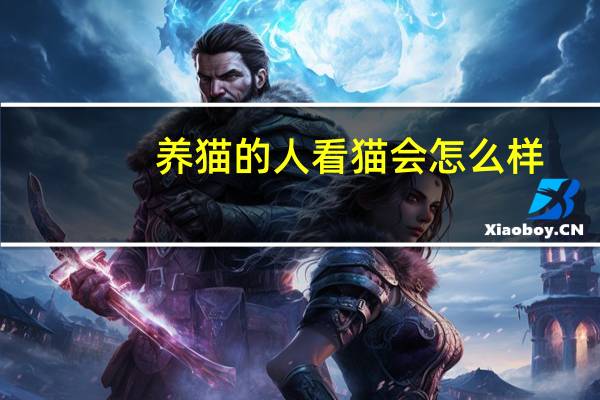 养猫的人看猫会怎么样