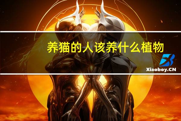 养猫的人该养什么植物