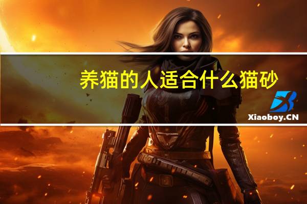 养猫的人适合什么猫砂