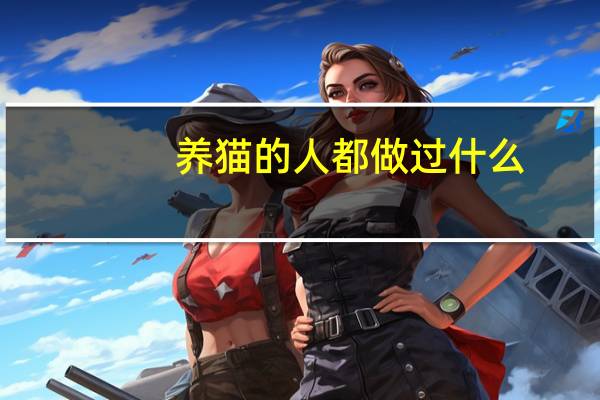 养猫的人都做过什么