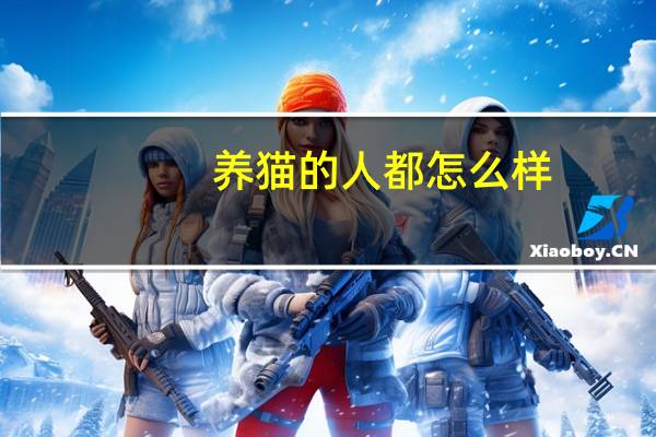 养猫的人都怎么样