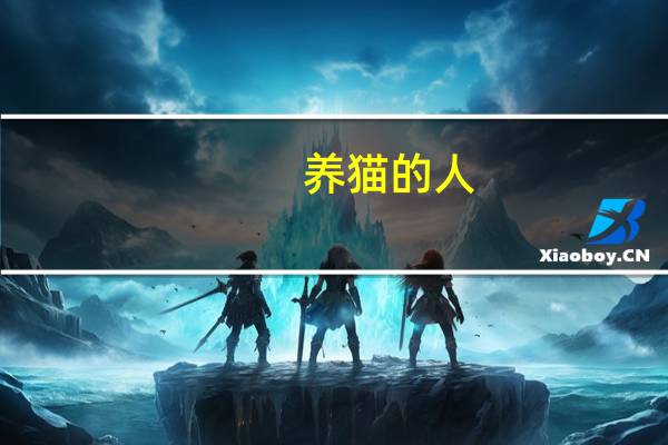 养猫的人